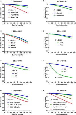 próstata adenocarcinoma gleason puntaje 3 3 próstata adenocarcinoma gleason puntaje 3 3